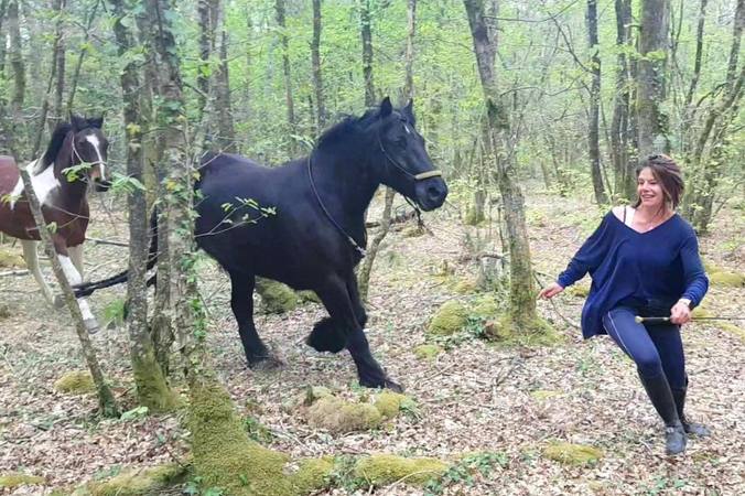 Top 3 des métiers qui recrutent le plus autour du cheval