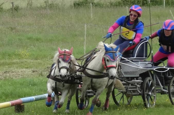 Qu’est-ce que le trec en attelage ?