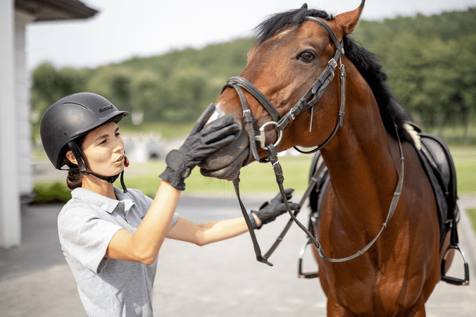 Le galop 4