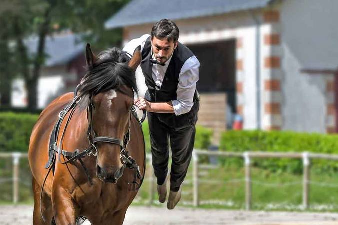 Comment devenir voltigeur équestre ?  