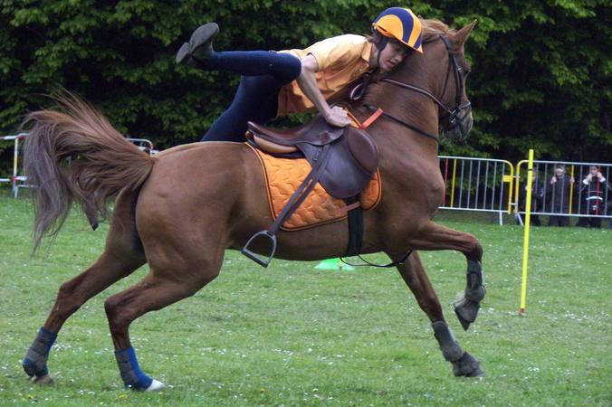 Les poneys-games : guide complet
