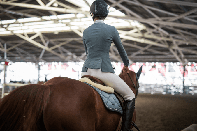 Sur le dos des chevaux