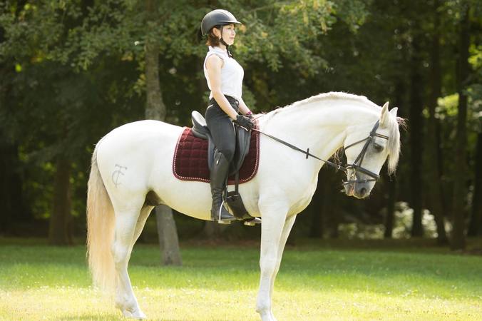 Équitation et prévention des blessures quelques 7 astuces pour les enfants et les débutants