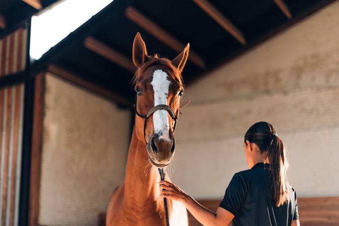 5 accessoires d’équitation à découvrir à tout prix sur la sellerie française   