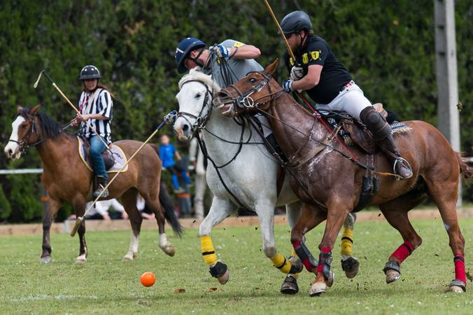 Qu’est-ce que le paddock Polo ?