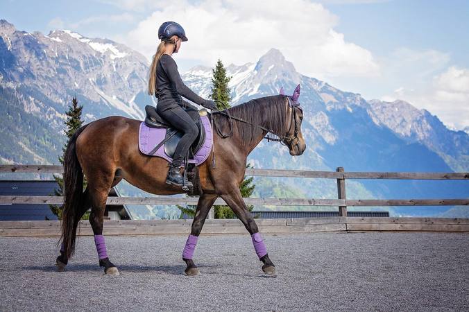 Quelle est la tenue adéquate pour débuter en équitation ? 