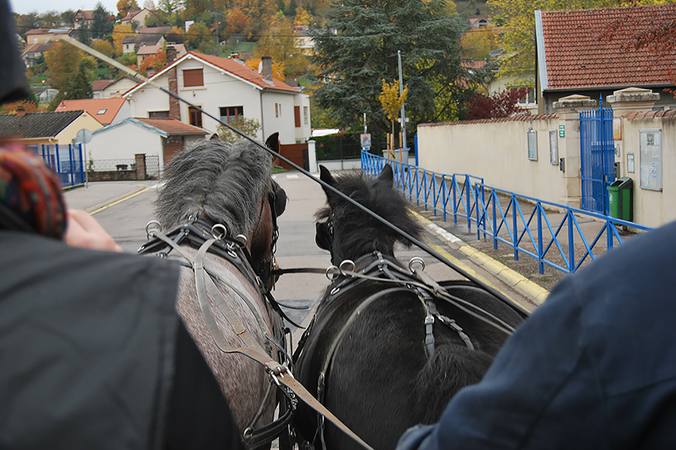 Cavaliers et attelages sur la voie publique 