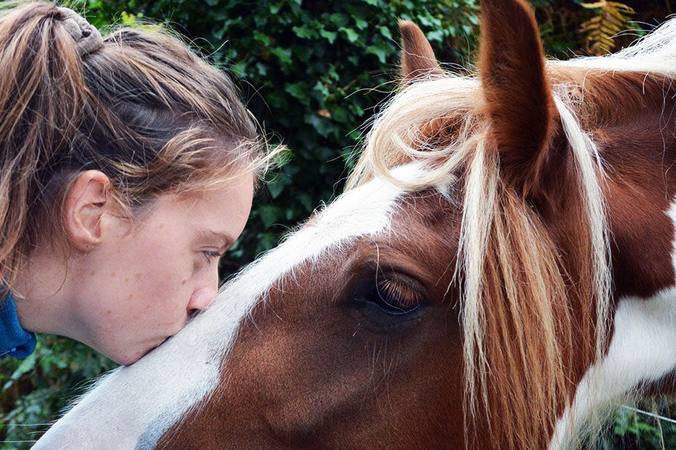 Comment revendre un cheval ?
