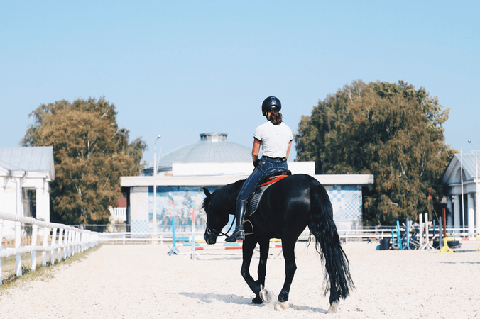 Le galop 6