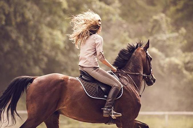 Combien de personnes pratiquent l’équitation en France ?