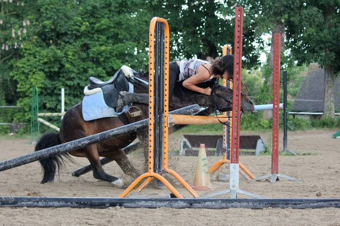 Gérer l’après chute à cheval : la peur de l’accident