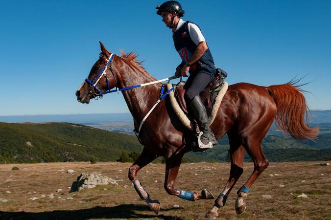 Qu’est-ce que l’endurance ?