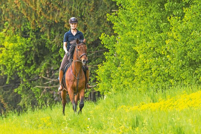 Quel contrat d’assurance souscrire pour un cheval de course ?