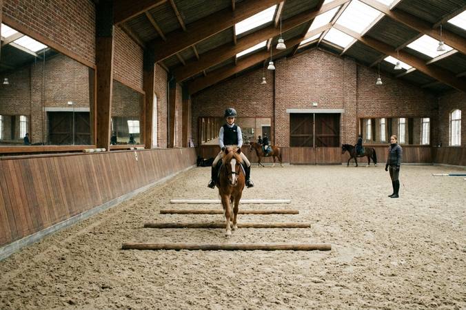 Brevets d’équitation en Belgique : se repérer dans le parcours LEWB