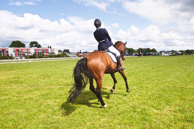 Équitation et dressage