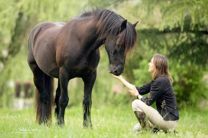 5 façons de communiquer avec son cheval 