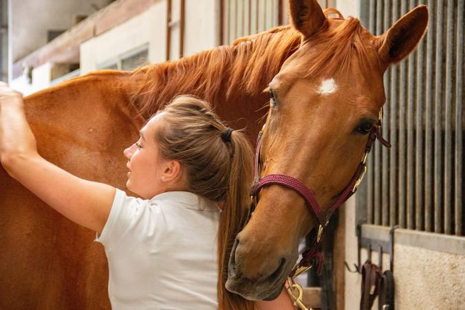 S’occuper de son cheval