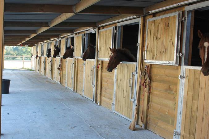 Quel box pour le cheval ?   
