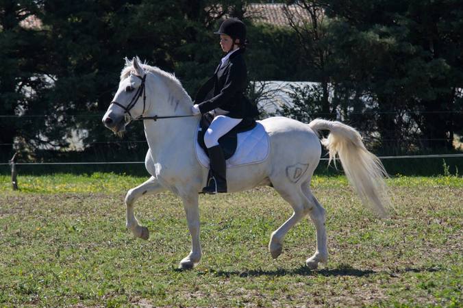 La galop 5