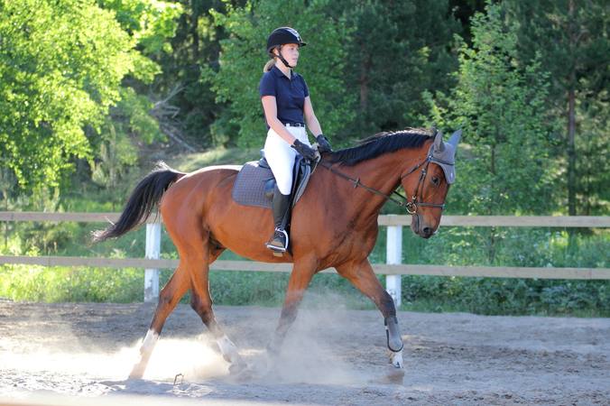 Le galop 3