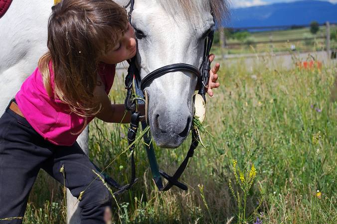 Combien coûtent les cours particuliers d’équitation ?  