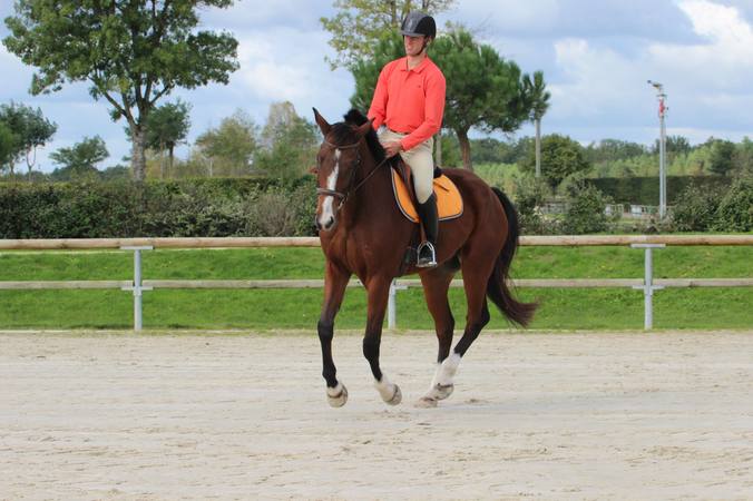 Le galop 2