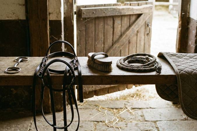 Vocabulaire d’équitation français–anglais : les mots utiles au club