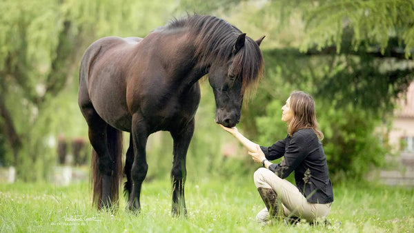 5 façons de communiquer avec son cheval 