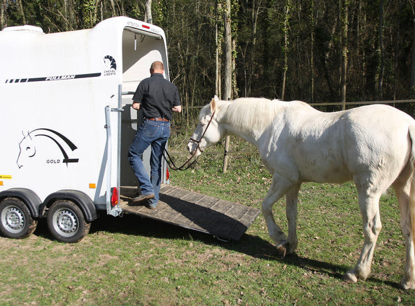 Mon cheval a peur du van pour le transporter, que faire ?