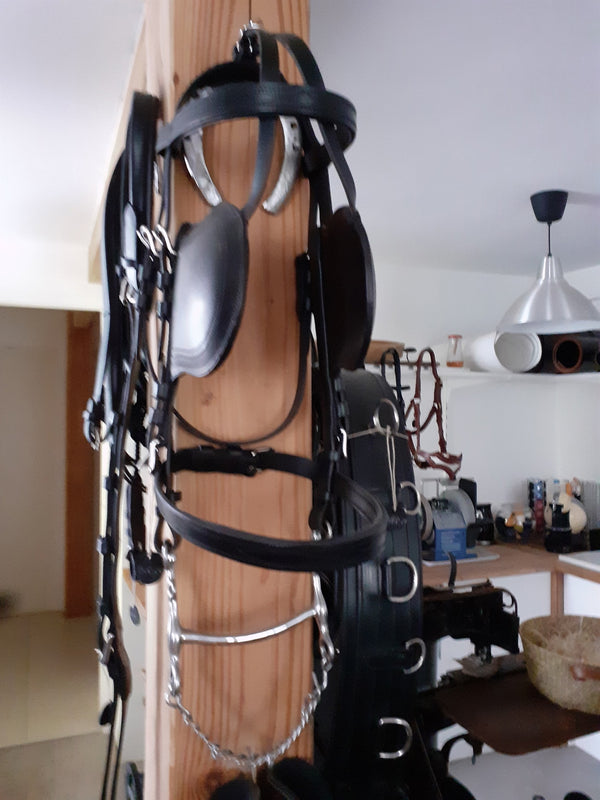 Driving bridle
