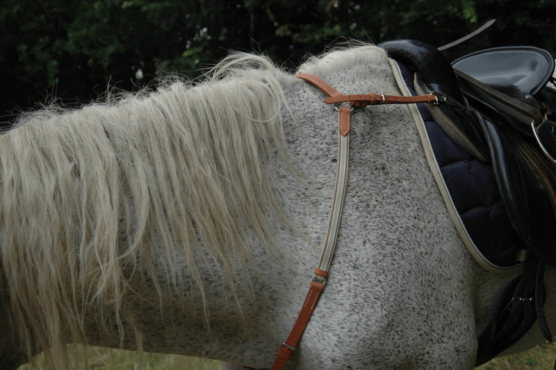 Hunting breastplate: Martingale and collar