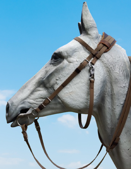 Dressage bridle