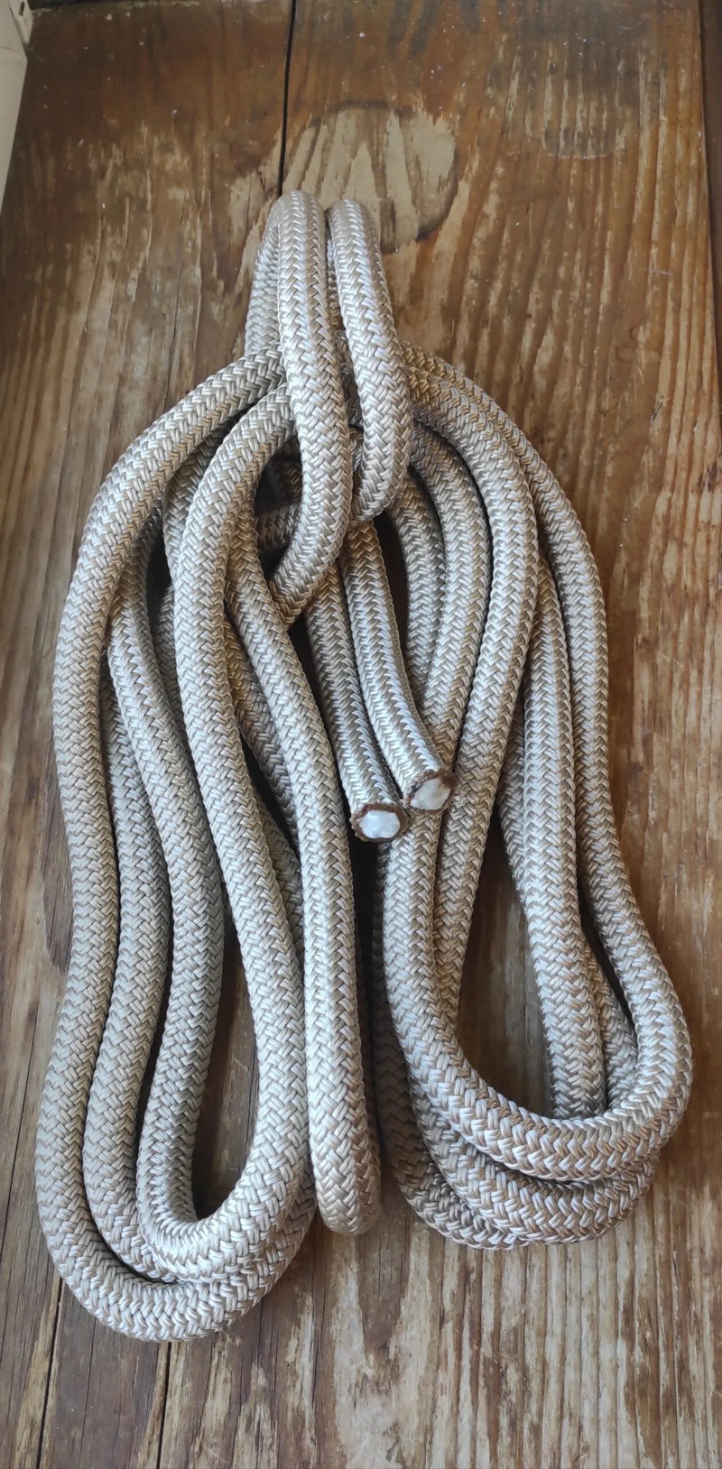 Longe éthologique 3m70 corde et cuir personnalisable