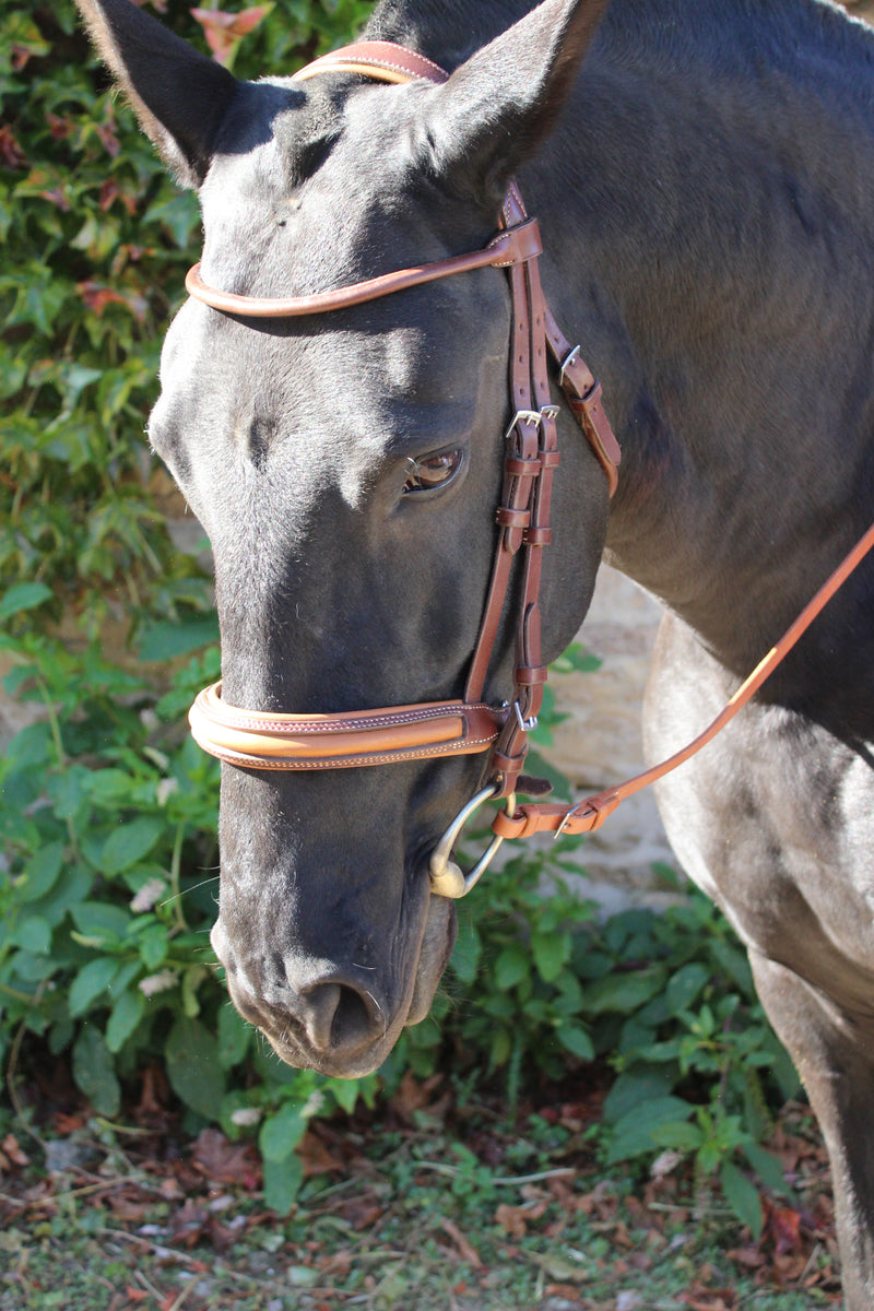 Round-stitched snaffle bridle