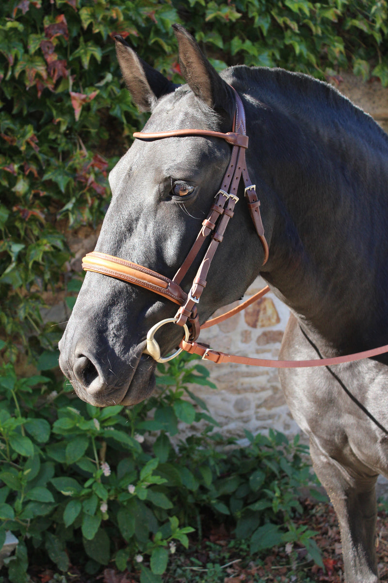 Round-stitched snaffle bridle
