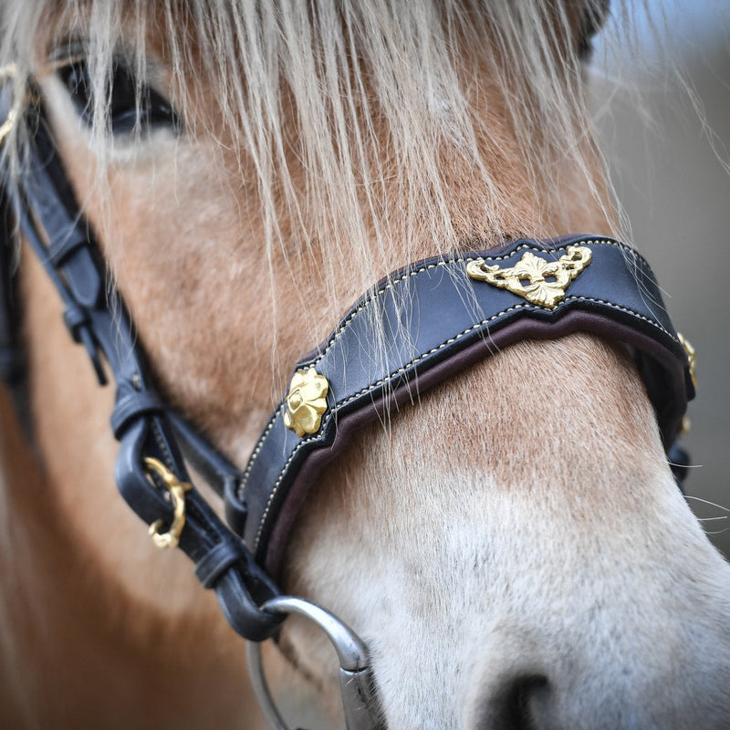Extremely comfortable luxury Iberian bridle