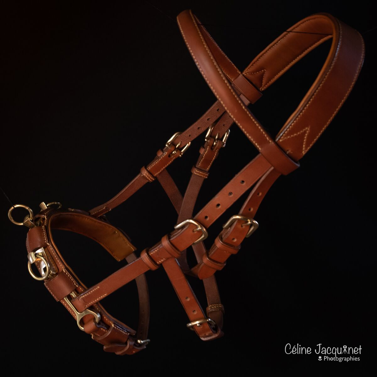 Bande de cuir de vache double croupon bordeaux lisse - Cuir en Stock