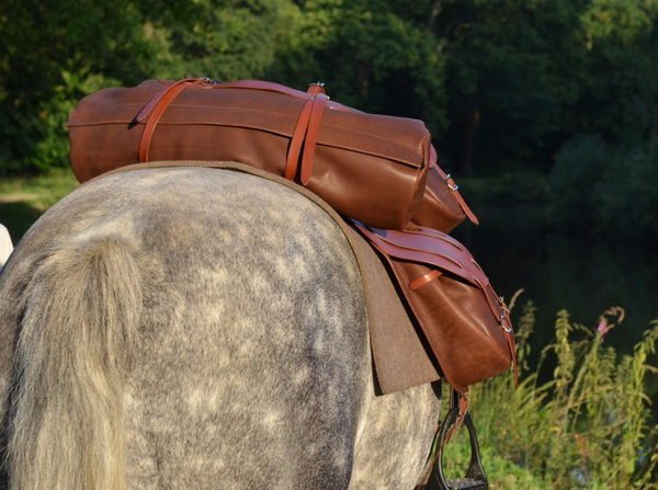 Trail riding cantle bag