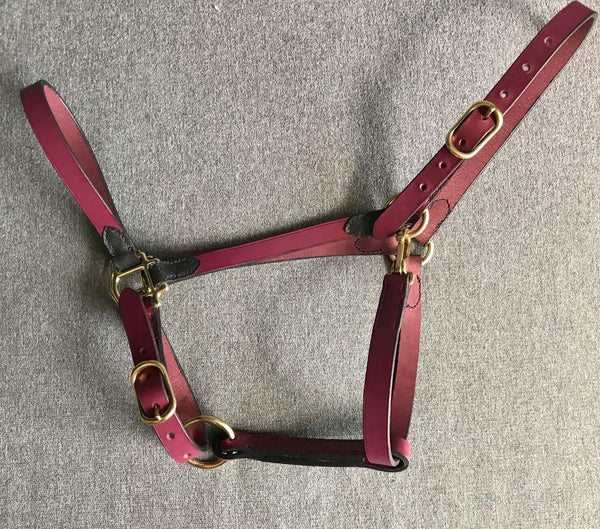 Two-tone stable halter