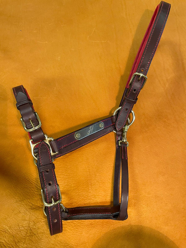 Lined stable halter