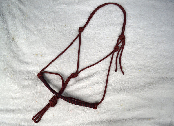 Azurite natural horsemanship braided halter