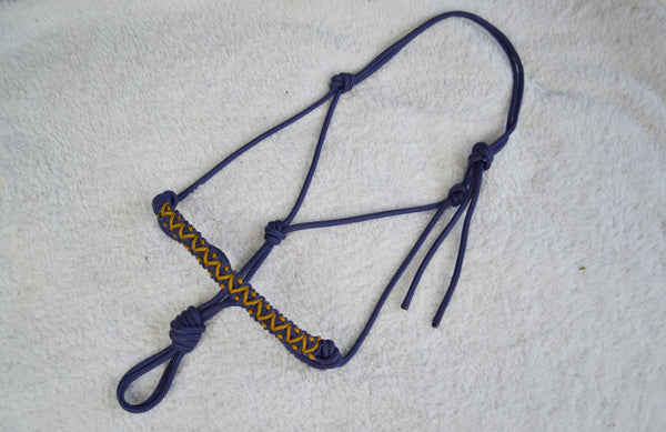Lazuli natural horsemanship braided halter
