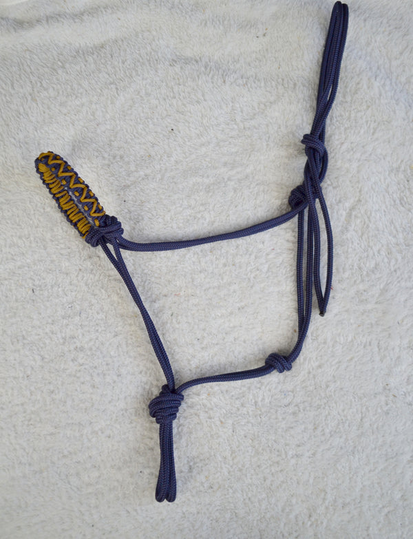 Lazuli natural horsemanship braided halter