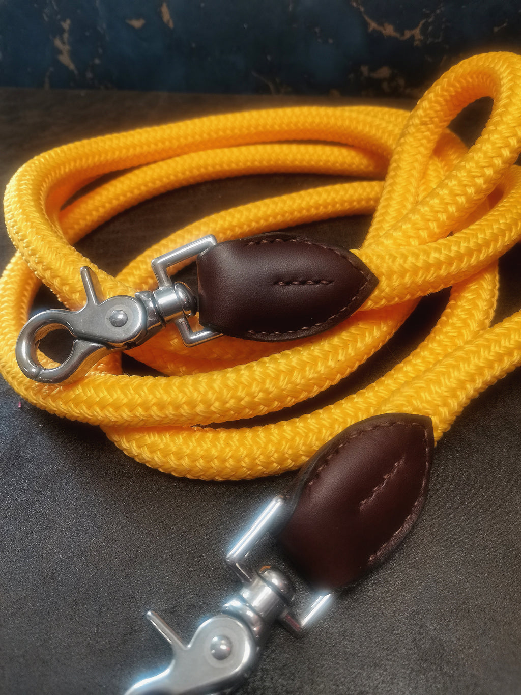 Rênes allemandes Canter Cuir / Corde avec passant sangle